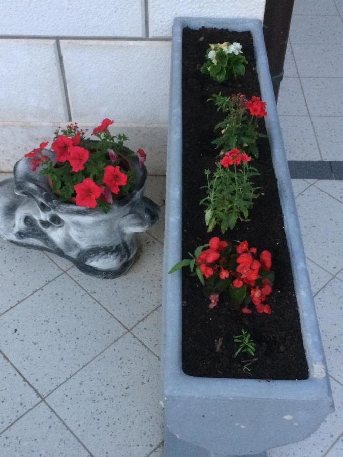 Apartmani Katarina Makarska Esterno foto